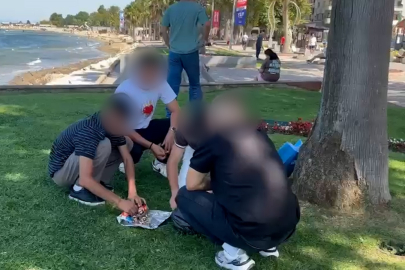 Yalova’da zabıta çevreyi kirletenlere geçit vermiyor