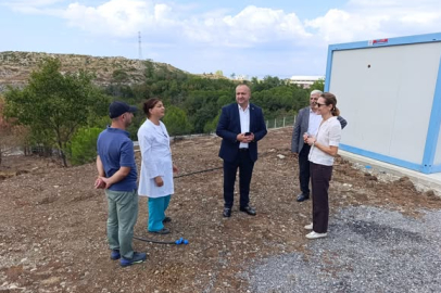 Çınarcık Belediyesi’nden sokak hayvanlarına yönelik bakımevi projesi