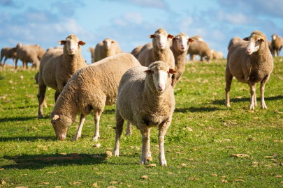 Köy halkı çözüm bekliyor