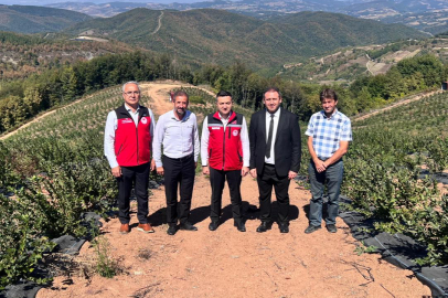 Mustafa İlmeç’ten Altınova’da üst düzey temaslar