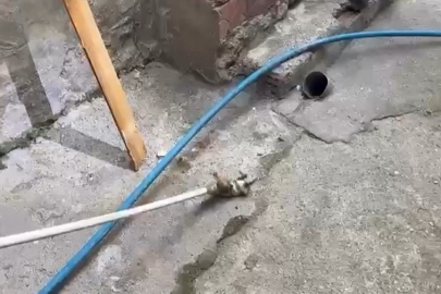 Yeni doğmuş kediyi mahsur kaldığı yerden kurtardılar