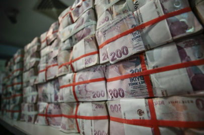 Merkez Bankası rezervleri 180,1 milyar dolara yükselerek rekor kırdı