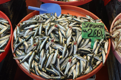 İşte, Yalova’da balık fiyatları