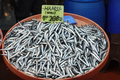 Yalova Balık Pazarı'nda hamsi 200 TL'ye tezgahlarda
