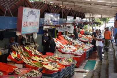 İşte Yalova’da balık fiyatları