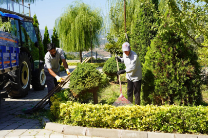 Kadıköy’de ağaçlar kışa hazırlanıyor