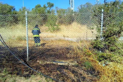 Altınova’da korkutan otluk alan yangını