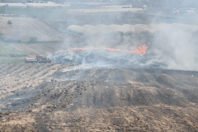 Yalova’da 3 ayrı noktada arazi yangını çıktı