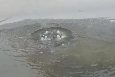 Bakanlıktan Çınarcık ve Koru Belediyesine 4 milyon 11 bin lira atık su cezası