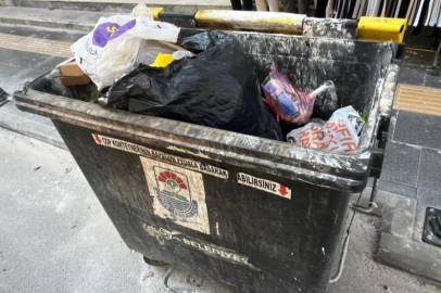 Kapağı açık bırakılan çöpler kötü kokuya neden oldu