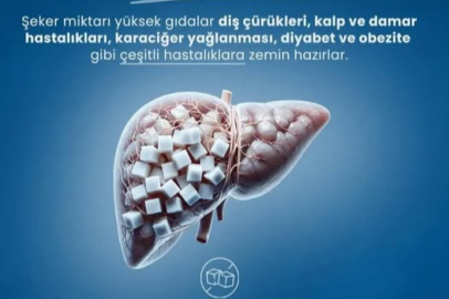 “Tatlı ihtiyacınızı meyvelerden karşılayın”