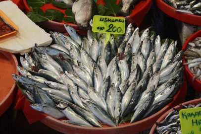 Yalova’da uskumru, 200 TL’ye tezgahlarda