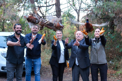 Altınova’da 200 sülün doğaya salındı
