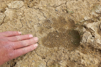 Ortaburun Göletinde doğal yaşamın ayak izleri görüntülendi