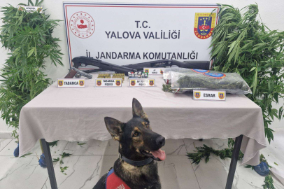 Altınova’da zehir tacirlerine şok baskın! 2 gözaltı