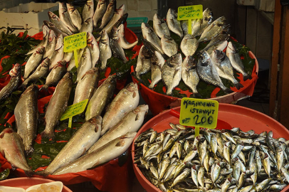 İşte Yalova’da balık fiyatları