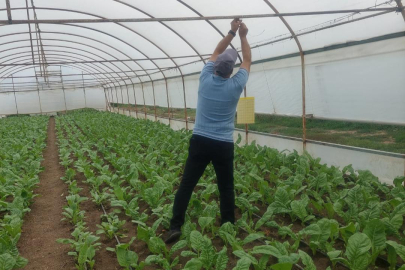 Yalova’da bitki koruma ürünlerine sıkı denetim