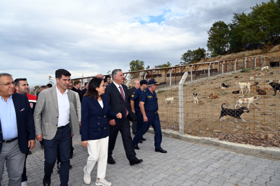 Dünya Hayvanları Koruma Günü’nde anlamlı açılış! ‘Sokak Hayvanları Doğal Yaşam Merkezi’ törenle açıldı
