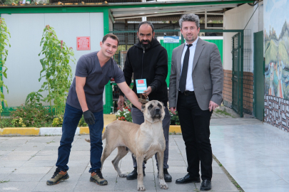 Çiftlikköy veterinerleri Şila’yı hayata bağladı