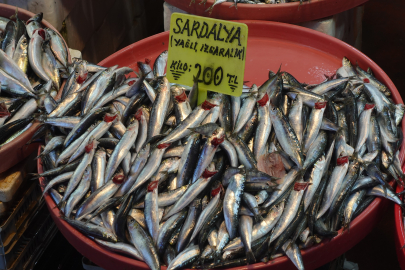 İşte Yalova’da balık fiyatları