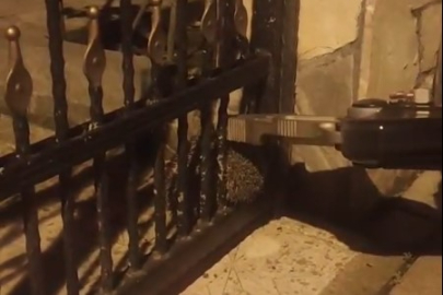 Çiftlikköy’de demir kapıya sıkışan kirpiyi itfaiye kurtardı