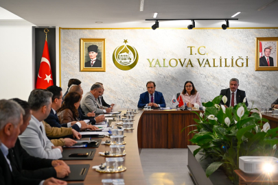 Yalova’da sahipsiz köpekler 10 gün içerisinde toplanacak