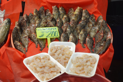 İşte, Yalova’da balık fiyatları