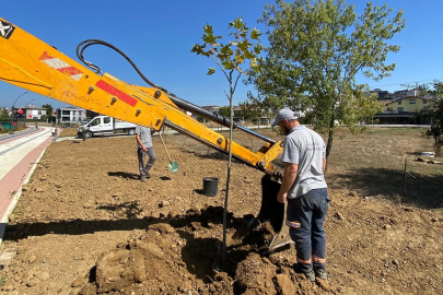 Kadıköy Belediyesi’nden ağaçlandırma hamlesi