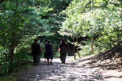 Ormanlık alanlara giriş yasağı kaldırıldı