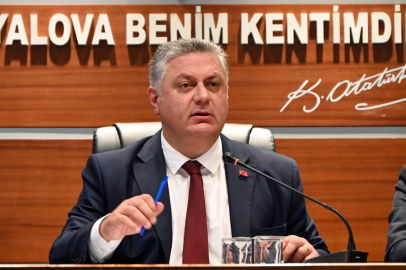 Yalova’da işletme sahibi anıt ağacı kesti! Başkan Gürel'den sert tepki