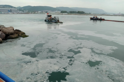 Müsilajdan etkilenen Yalovalı balıkçılara devlet desteği geliyor