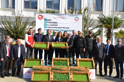 428 bin adet kıvırcık ve pazı fidesi çiftçilere dağıtıldı