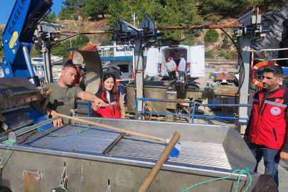 Midye çiftlikleri denetlendi