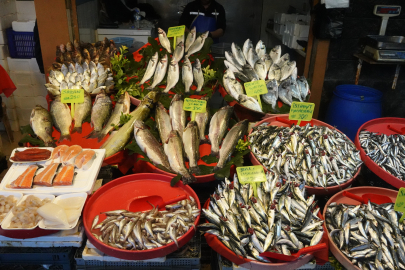 İşte Yalova’da balık fiyatları