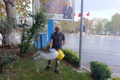Çınarcık’ta yeşil alanlarda gübreleme çalışması