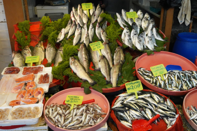 İşte, Yalova Balık Pazarı’nda güncel fiyatlar