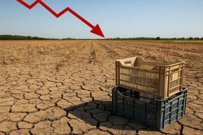2025’te bitkisel üretim azalacak