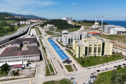 Yalova Üniversitesi 4 profesör ve 3 doçent alacak