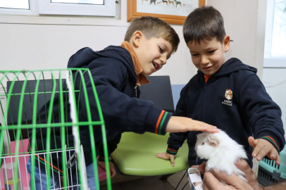 Ginepig kısa sürede sahiplendirildi