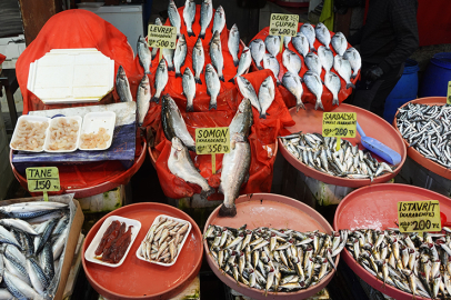 İşte, Yalova’da balık fiyatları