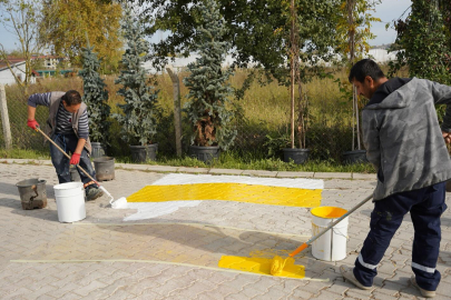 Kadıköy’de kasisler boyandı