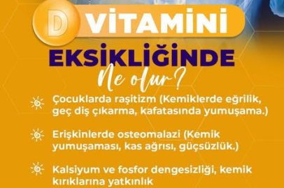 Yalova Eğitim ve Araştırma Hastanesi’nden D vitamini uyarısı