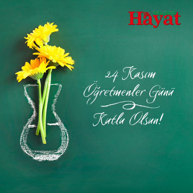 öğretmenler günü resimli mesajları 003