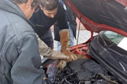 Yalova’da araç motoruna sıkışan kediyi kurtardılar