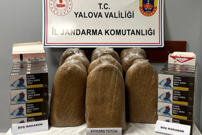 Yalova’da işyerine kaçak tütün baskını!