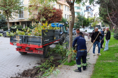 Adnan Menderes Mahallesi’nde çevre düzenleme çalışması