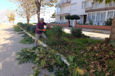 Çınarcık'ta çevre düzenlemeleri sürüyor
