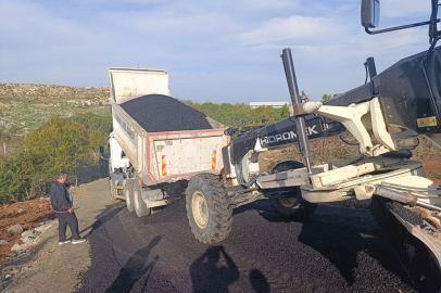 Sokak Hayvanları Bakımevi önemli bir aşama kaydetti