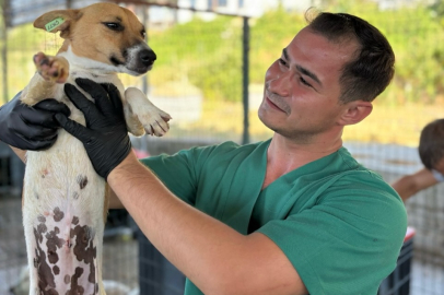 Hayvanseverlerimizden de destek bekliyoruz