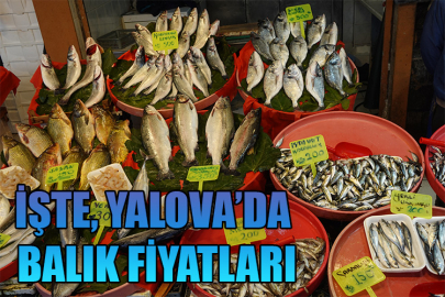 İşte, Yalova’da balık fiyatları